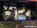 Filename=attachID_31841_postID_288308_IMG_3008.JPG
Filesize=155KiB
Dimensions=1000x750
Date added=Oct 21, 2017 attachID_31841_postID_288308_IMG_3008.JPG