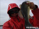 Filename=attachID_31961_postID_289683_100f.jpg
Filesize=73KiB
Dimensions=1000x759
Date added=May 17, 2018 attachID_31961_postID_289683_100f.jpg