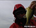 Filename=attachID_31963_postID_289683_100h.jpg
Filesize=53KiB
Dimensions=1000x764
Date added=May 17, 2018 attachID_31963_postID_289683_100h.jpg