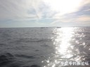 attachID_31971_postID_289707_IMG_3969.JPG