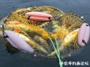 Filename=attachID_32051_postID_290734_1.jpg
Filesize=135KiB
Dimensions=979x734
Date added=May 17, 2018 attachID_32051_postID_290734_1.jpg