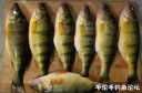 Filename=attachID_32081_postID_291158_1_270.jpg
Filesize=108KiB
Dimensions=1000x659
Date added=May 17, 2018 attachID_32081_postID_291158_1_270.jpg