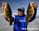 Filename=attachID_32083_postID_291178_Dave_Chong.jpg
Filesize=94KiB
Dimensions=748x598
Date added=May 17, 2018 attachID_32083_postID_291178_Dave_Chong.jpg