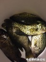 attachID_32139_postID_292054_IMG_2140.JPG