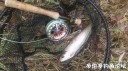 Filename=attachID_32211_postID_292838_IMG_20171109_59535.jpg
Filesize=127KiB
Dimensions=1000x562
Date added=May 17, 2018 attachID_32211_postID_292838_IMG_20171109_59535.jpg