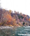 Filename=attachID_32218_postID_292919_20171109_135726.jpg
Filesize=246KiB
Dimensions=842x1000
Date added=May 17, 2018 attachID_32218_postID_292919_20171109_135726.jpg
