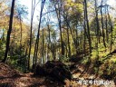 Filename=attachID_32225_postID_292919_IMG_20141023_112835.jpg
Filesize=296KiB
Dimensions=1000x750
Date added=May 17, 2018 attachID_32225_postID_292919_IMG_20141023_112835.jpg