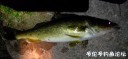 Filename=attachID_32262_postID_293084_1_270.jpg
Filesize=60KiB
Dimensions=1000x468
Date added=May 17, 2018 attachID_32262_postID_293084_1_270.jpg