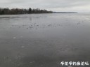 Filename=attachID_32308_postID_293588_1.jpg
Filesize=54KiB
Dimensions=1000x750
Date added=May 17, 2018 attachID_32308_postID_293588_1.jpg