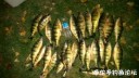 Filename=attachID_32332_postID_293762_IMAG0168.jpg
Filesize=90KiB
Dimensions=1000x565
Date added=May 17, 2018 attachID_32332_postID_293762_IMAG0168.jpg