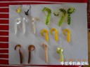 Filename=attachID_32345_postID_293860_DSCN1602.JPG
Filesize=63KiB
Dimensions=1000x750
Date added=May 17, 2018 attachID_32345_postID_293860_DSCN1602.JPG