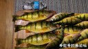 Filename=attachID_32383_postID_294157_IMAG0181.jpg
Filesize=116KiB
Dimensions=1000x565
Date added=May 17, 2018 attachID_32383_postID_294157_IMAG0181.jpg