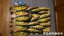 Filename=attachID_32385_postID_294159_IMAG0176.jpg
Filesize=112KiB
Dimensions=1000x565
Date added=May 17, 2018 attachID_32385_postID_294159_IMAG0176.jpg