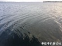 attachID_32418_postID_294452_33.jpg