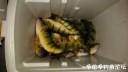 Filename=attachID_32474_postID_295078_IMAG0203.jpg
Filesize=49KiB
Dimensions=1000x565
Date added=May 17, 2018 attachID_32474_postID_295078_IMAG0203.jpg