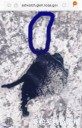 Filename=attachID_32755_postID_298061_KU4.jpg
Filesize=57KiB
Dimensions=540x838
Date added=May 17, 2018 attachID_32755_postID_298061_KU4.jpg