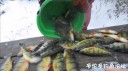 Filename=attachID_32871_postID_299021_dec22.jpg
Filesize=59KiB
Dimensions=1000x562
Date added=May 17, 2018 attachID_32871_postID_299021_dec22.jpg