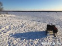 Filename=attachID_33057_postID_300760_1.jpg
Filesize=153KiB
Dimensions=979x734
Date added=May 17, 2018 attachID_33057_postID_300760_1.jpg