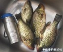 Filename=attachID_33112_postID_301327_72.jpg
Filesize=133KiB
Dimensions=998x832
Date added=May 17, 2018 attachID_33112_postID_301327_72.jpg