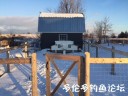Filename=attachID_33283_postID_303251_IMG_934628229.JPG
Filesize=53KiB
Dimensions=640x480
Date added=May 17, 2018 attachID_33283_postID_303251_IMG_934628229.JPG