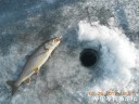 Filename=attachID_33327_postID_303779_DSCN1730.JPG
Filesize=126KiB
Dimensions=1000x750
Date added=May 17, 2018 attachID_33327_postID_303779_DSCN1730.JPG