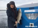 Filename=attachID_33343_postID_303932_1.jpg
Filesize=70KiB
Dimensions=979x734
Date added=May 17, 2018 attachID_33343_postID_303932_1.jpg