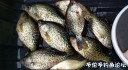 Filename=attachID_33432_postID_304771_1_27c.JPG
Filesize=120KiB
Dimensions=1000x549
Date added=May 17, 2018 attachID_33432_postID_304771_1_27c.JPG