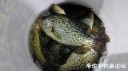 Filename=attachID_33435_postID_304771_1_27f.JPG
Filesize=72KiB
Dimensions=1000x559
Date added=May 17, 2018 attachID_33435_postID_304771_1_27f.JPG