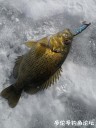 attachID_33999_postID_309816_IMG_20180322_163709.jpg
