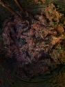 Filename=attachID_3493_postID_22598_bing2.jpg
Filesize=207KiB
Dimensions=768x1028
Date added=Dec 02, 2016 attachID_3493_postID_22598_bing2.jpg