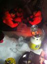 Filename=attachID_3651_postID_29958_image.jpg
Filesize=174KiB
Dimensions=640x856
Date added=Dec 02, 2016 attachID_3651_postID_29958_image.jpg