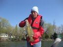 attachID_4014_postID_33615_mon7.jpg