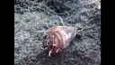 Filename=attachID_4598_postID_40597_image.jpg
Filesize=273KiB
Dimensions=1136x640
Date added=Dec 02, 2016 attachID_4598_postID_40597_image.jpg
