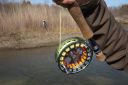 Filename=attachID_4611_postID_40904_DSC00182.jpg
Filesize=161KiB
Dimensions=737x490
Date added=Dec 02, 2016 attachID_4611_postID_40904_DSC00182.jpg