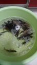 Filename=attachID_4654_postID_41723_222346iy6bn4qh2u2b6m1a_thumb.jpg
Filesize=78KiB
Dimensions=564x1000
Date added=Dec 02, 2016 attachID_4654_postID_41723_222346iy6bn4qh2u2b6m1a_thumb.jpg