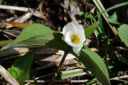 Filename=attachID_4665_postID_41837_DSC00265.jpg
Filesize=152KiB
Dimensions=737x490
Date added=Dec 02, 2016 attachID_4665_postID_41837_DSC00265.jpg