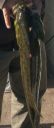 Filename=attachID_5000_postID_46138_QQue21sC2F2B20140524223023.jpg
Filesize=153KiB
Dimensions=274x641
Date added=Dec 02, 2016 attachID_5000_postID_46138_QQue21sC2F2B20140524223023.jpg
