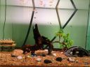 Filename=attachID_5094_postID_48025_fishing_at_home_1.jpg
Filesize=112KiB
Dimensions=849x640
Date added=Dec 02, 2016 attachID_5094_postID_48025_fishing_at_home_1.jpg