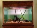 Filename=attachID_5095_postID_48025_fishing_at_home_2.jpg
Filesize=104KiB
Dimensions=851x640
Date added=Dec 02, 2016 attachID_5095_postID_48025_fishing_at_home_2.jpg