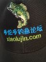 attachID_5269_postID_50291_cap_logo.jpg