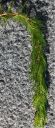 attachID_5353_postID_51521__Hang_tags1a.jpg