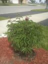 attachID_5402_postID_52225_IMG_20140610_105053.jpg