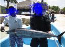 attachID_5524_postID_53653_3.JPG