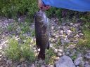 attachID_5680_postID_56168_IMG-20140628-00011.jpg