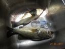 Filename=attachID_5702_postID_56411_DSCN2984.JPG
Filesize=245KiB
Dimensions=816x612
Date added=Dec 02, 2016 attachID_5702_postID_56411_DSCN2984.JPG