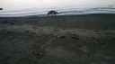 Filename=attachID_5784_postID_56868_9.jpg
Filesize=233KiB
Dimensions=1277x717
Date added=Dec 02, 2016 attachID_5784_postID_56868_9.jpg