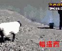 Filename=attachID_5837_postID_57775_psb.gif
Filesize=195KiB
Dimensions=180x150
Date added=Dec 02, 2016 attachID_5837_postID_57775_psb.gif