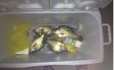 Filename=attachID_6093_postID_60570_123.jpg
Filesize=57KiB
Dimensions=724x452
Date added=Dec 02, 2016 attachID_6093_postID_60570_123.jpg