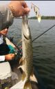 attachID_6491_postID_65749_IMG_20140803_153304.jpg