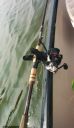 attachID_6492_postID_65753_IMG_20140803_152701.jpg